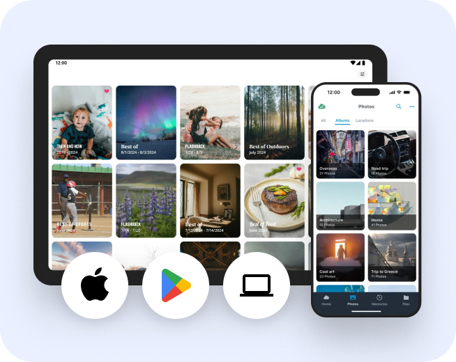 Cross Platform Access feature